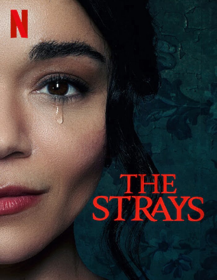 ดูหนังออนไลน์ฟรี The Strays (2023)