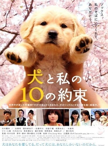 ดูหนังออนไลน์ฟรี 10 Promises to My Dog (2008) 10