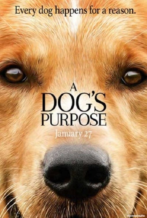 ดูหนังออนไลน์ฟรี A Dog’s Purpose (2017)