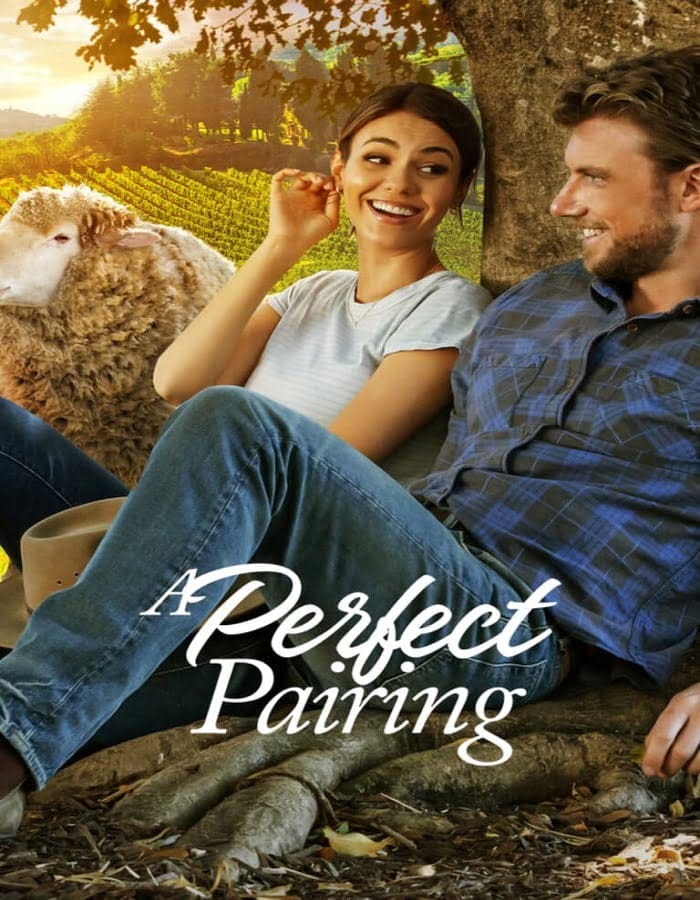 ดูหนังออนไลน์ฟรี A Perfect Pairing (2022)