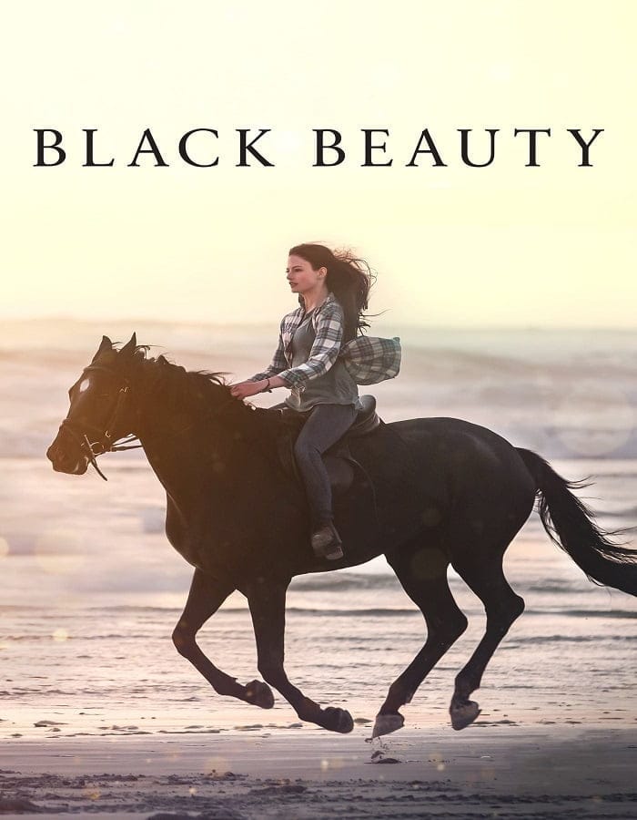 ดูหนังออนไลน์ฟรี Black Beauty (2020)