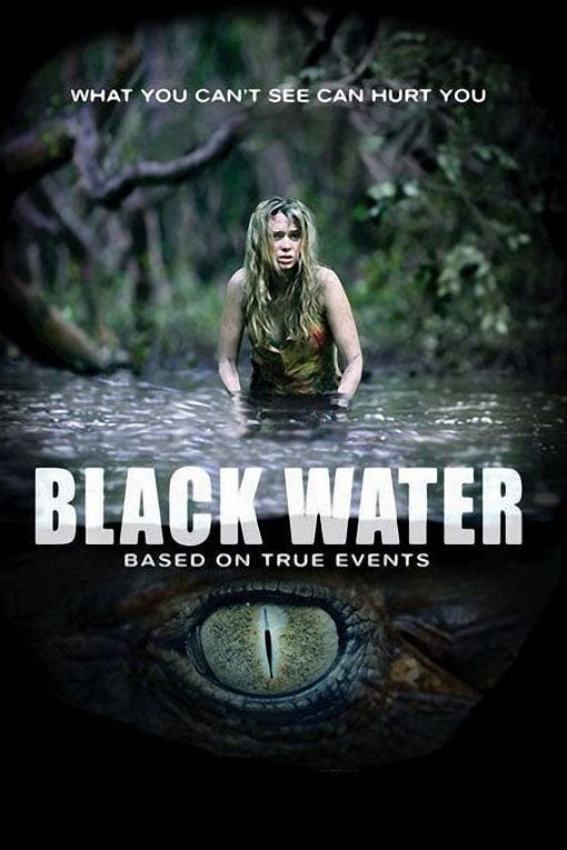 ดูหนังออนไลน์ฟรี Black Water (2007)