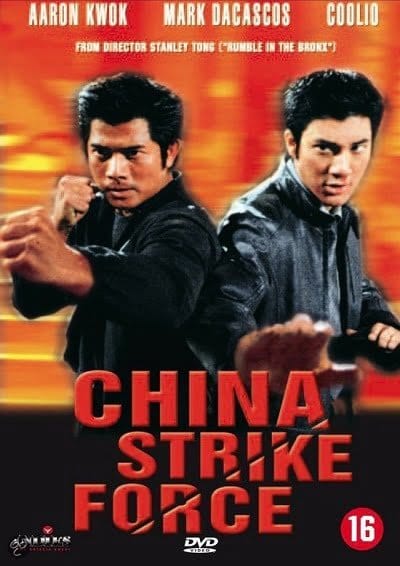 ดูหนังออนไลน์ฟรี China Strike Force (2000)