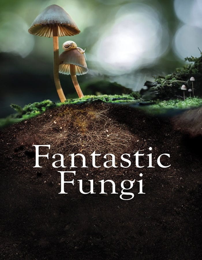 ดูหนังออนไลน์ฟรี Fantastic Fungi (2019)