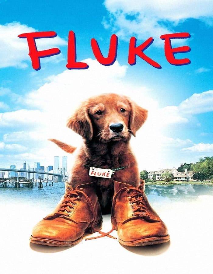 ดูหนังออนไลน์ฟรี Fluke (1995)