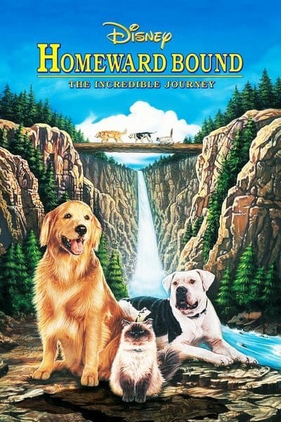 ดูหนังออนไลน์ฟรี Homeward Bound: The Incredible Journey (1993)