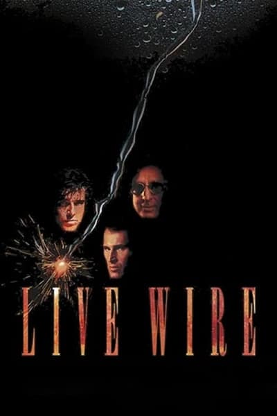 ดูหนังออนไลน์ฟรี Live wire (1992)