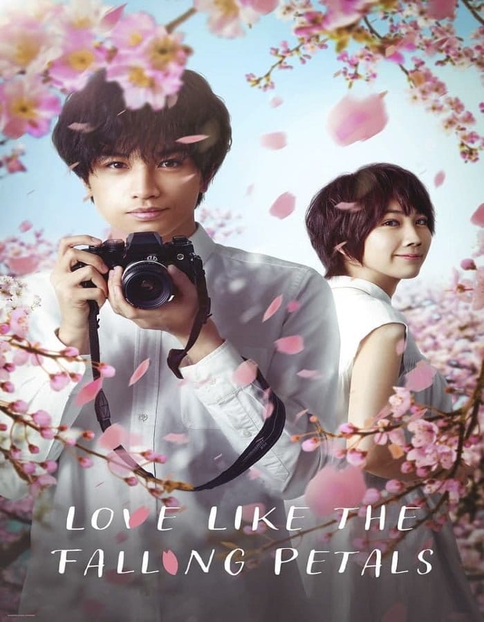 ดูหนังออนไลน์ฟรี Love Like the Falling Petals (2022)