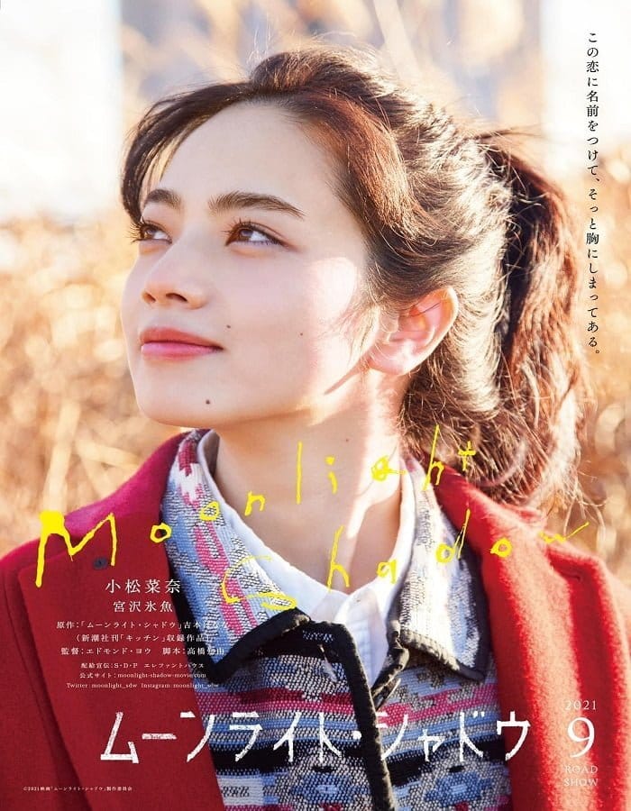 ดูหนังออนไลน์ฟรี Moonlight Shadow (2021)