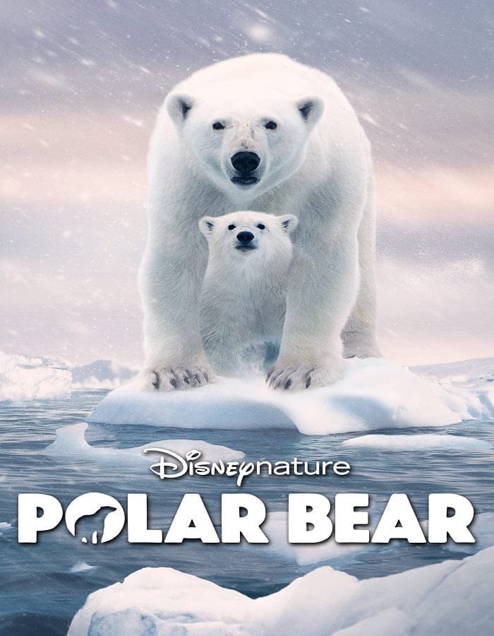 ดูหนังออนไลน์ฟรี Polar Bear (2022)