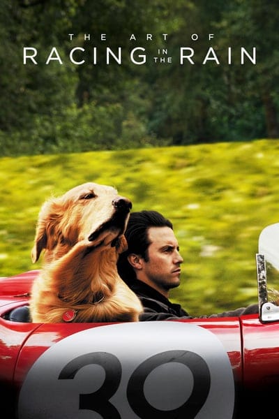 ดูหนังออนไลน์ฟรี The Art of Racing in the Rain (2019)