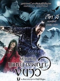 ดูหนังออนไลน์ฟรี The Sorcerer and the White Snake (2011)