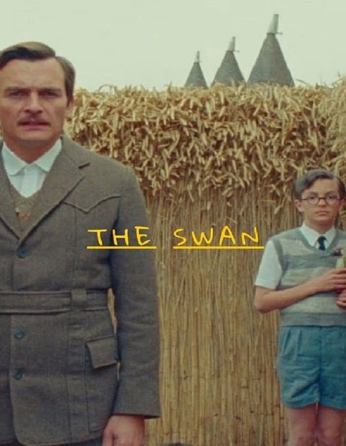 ดูหนังออนไลน์ฟรี The Swan (2023)